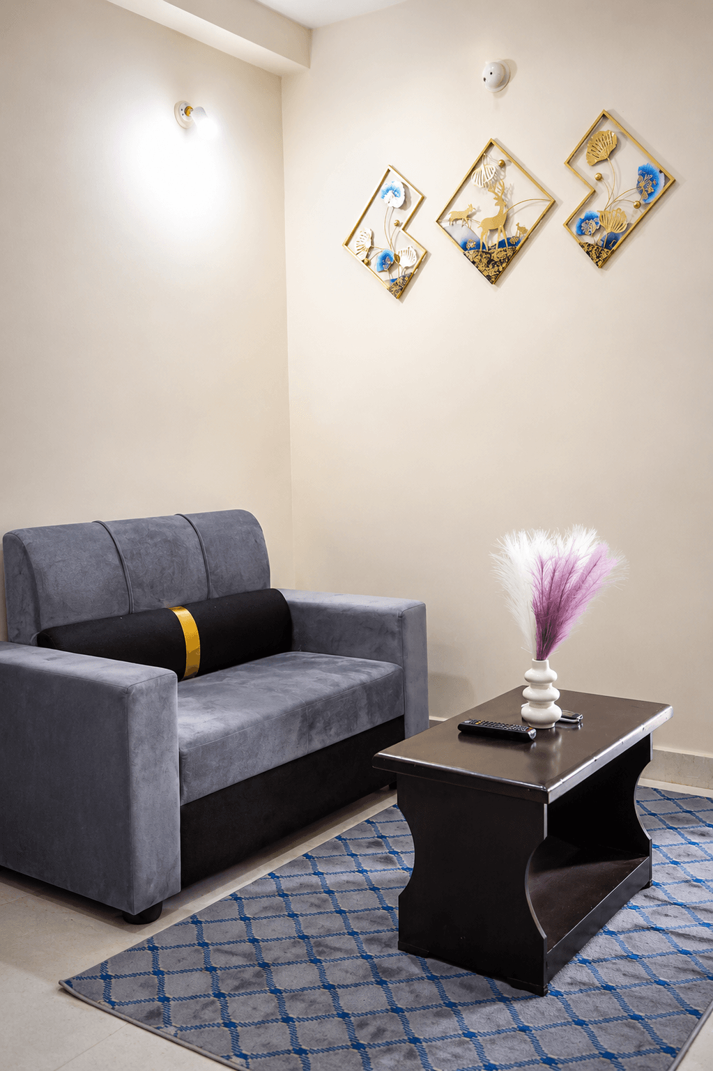Private 1BHK with Terrace Access photo 7
